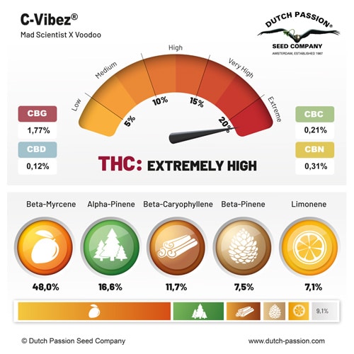 C Vibez terpene and cannabinoid profile C Vibez terpene and cannabinoid profile