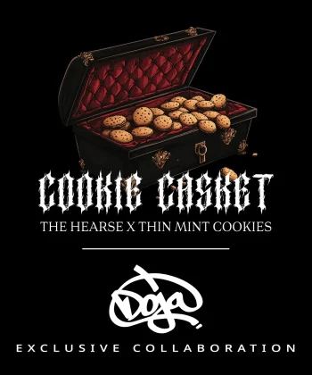 Cookie Casket Feminized Cannabis Seeds by Barneys Farm