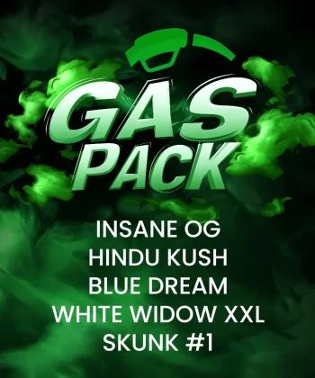Gas Pack Feminized Cannabis Seeds by Barneys Farm