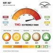 HiFi 4G Feminized Cannabis Seeds by Dutch Passion Seeds