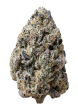 Biscotti Gelato Feminized Cannabis Seeds by Fast Buds