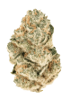 Gorilla Melon Feminized Cannabis Seeds by Fast Buds