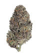 Lemon Cherry Runtz Feminized Cannabis Seeds by Fast Buds