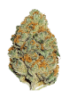 Lemon Mandarin Feminized Cannabis Seeds by Fast Buds