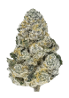 Lemonpaya Feminized Cannabis Seeds by Fast Buds