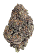 Papayton Feminized Cannabis Seeds by Fast Buds