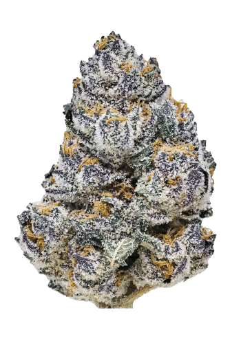 Rainbow Melon Feminized Cannabis Seeds by Fast Buds