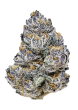Rainbow Melon Feminized Cannabis Seeds by Fast Buds