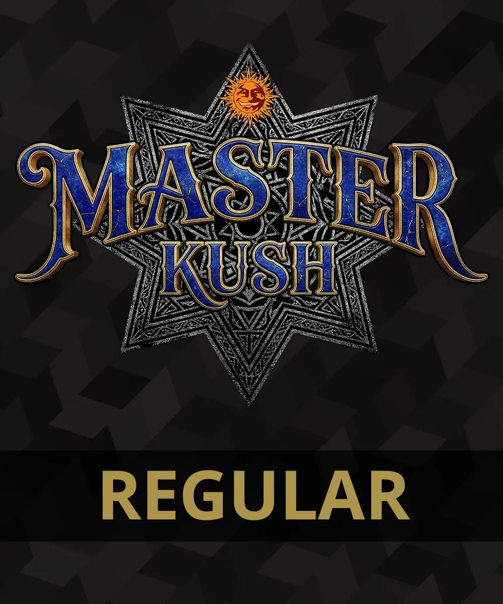 Master Kush Regular Cannabis Seeds by Barneys Farm Master Kush Regular Cannabis Seeds by Barneys Farm