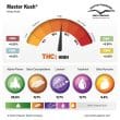 Masterkush Feminized Cannabis Seeds by Dutch Passion Seeds