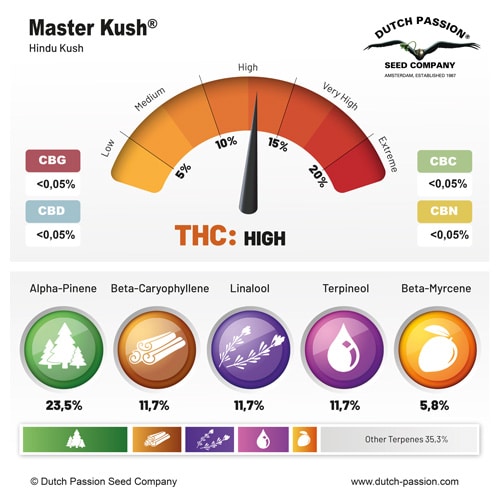 Masterkush terpene and cannabinoid profile Masterkush terpene and cannabinoid profile