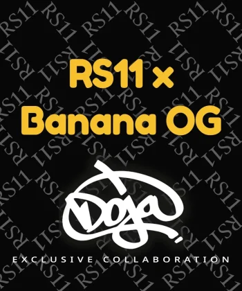 RS11 x Banana OG Feminized Cannabis Seeds by Barneys Farm