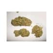 Skunk #11 Feminized Cannabis Seeds by Dutch Passion Seeds