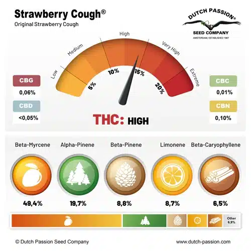 Strawberry Cough terpene and cannabinoid profile Strawberry Cough terpene and cannabinoid profile