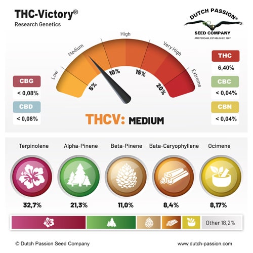 THC Victory terpene and cannabinoid profile THC Victory terpene and cannabinoid profile