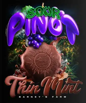 Thin Mint x Sour Pinot Auto Cannabis Seeds by Barneys Farm