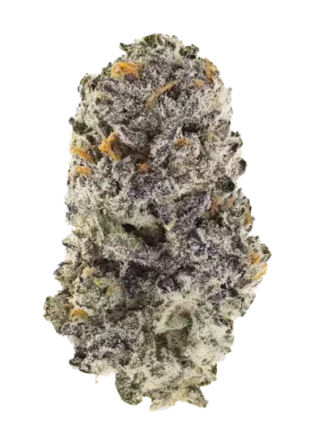 Z42 seeds by Fast Buds - Z3 x Candy Fumez F1 feminized hybrid