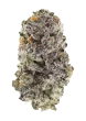 Z42 seeds by Fast Buds - Z3 x Candy Fumez F1 feminized hybrid