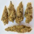 Colossus Feminized by ACE Seeds