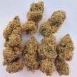 Magic Carrot Regular by ACE Seeds