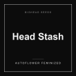 bighead-seeds-head-stash-house