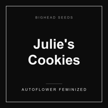 Julie's Cookies Auto by Bighead Seeds