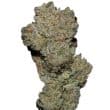 Banana Glue Feminized by Growers Choice Seeds (2)