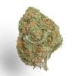 Banana Glue Feminized by Growers Choice Seeds (2)
