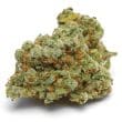 Banana Sherbet Feminized by Growers Choice Seeds