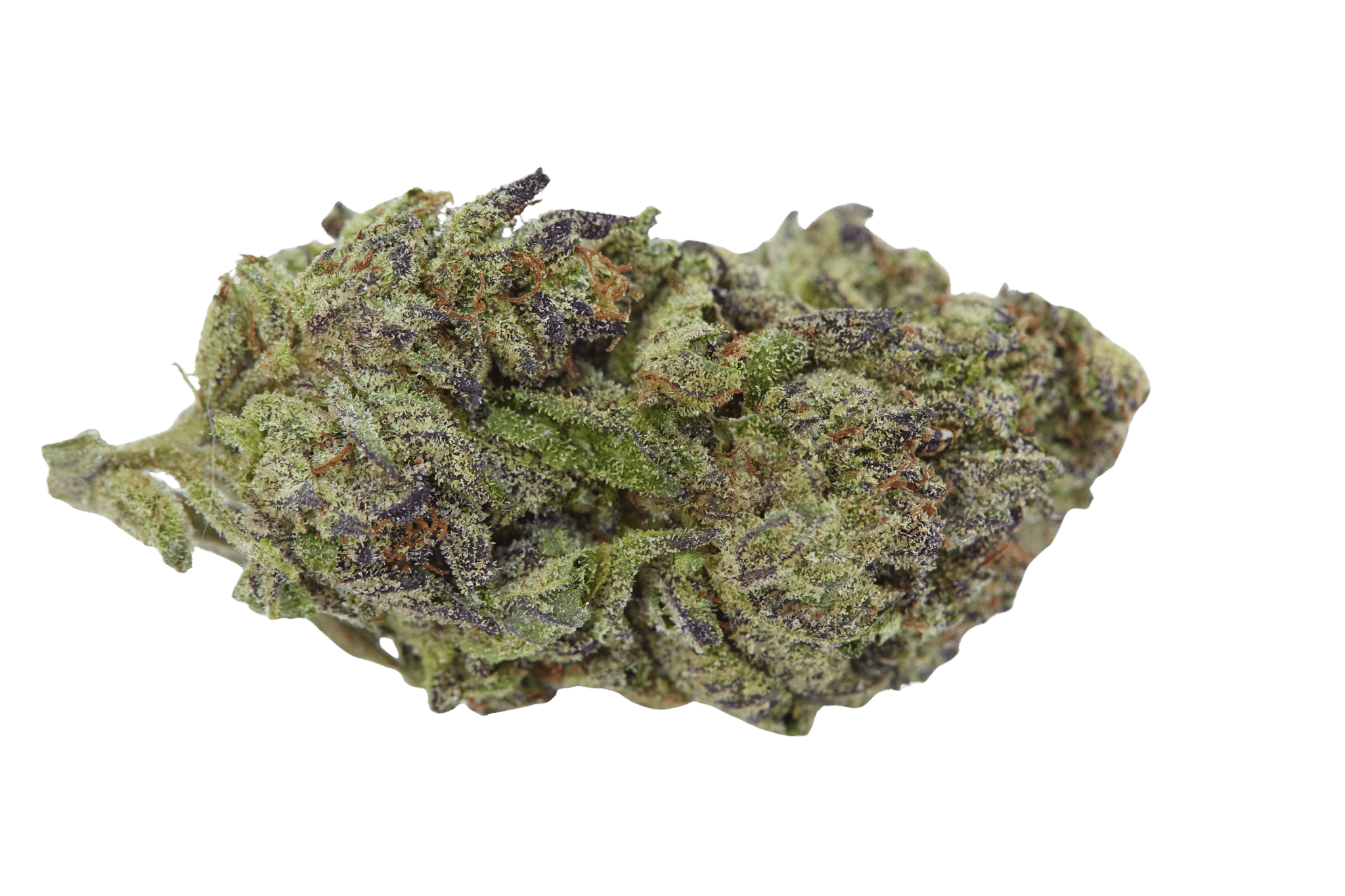 Blue Zeclair Feminized by Growers Choice Seeds (4) Blue Zeclair harvest detail