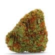 Bubblegum x Fat Hog bud detail