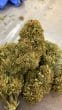 Charlottes Dream CBD Feminized by Growers Choice Seeds