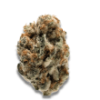 KO Kush bud detail