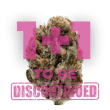 KO Kush Feminized by Growers Choice Seeds (4)
