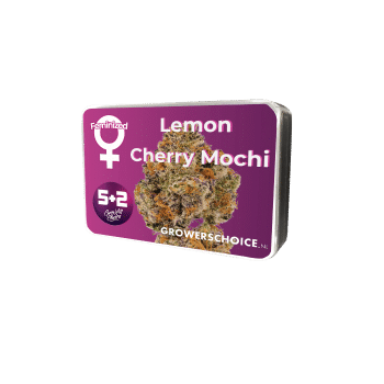 Lemon Cherry Mochi bud detail