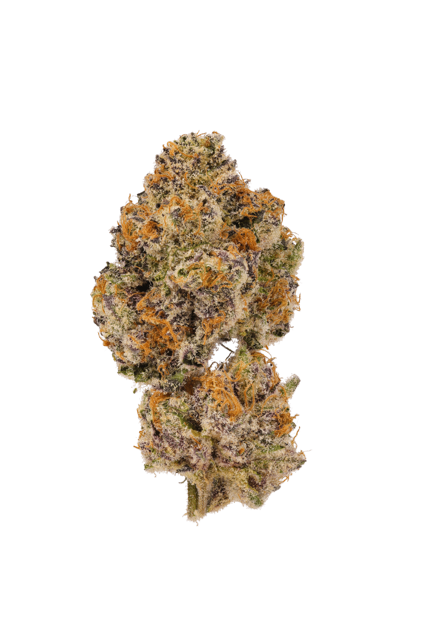 Lemon Cherry Mochi Feminized by Growers Choice Seeds (4) Lemon Cherry Mochi harvest detail