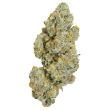 LIMITED EDITION Cherry 7up Auto by Growers Choice Seeds