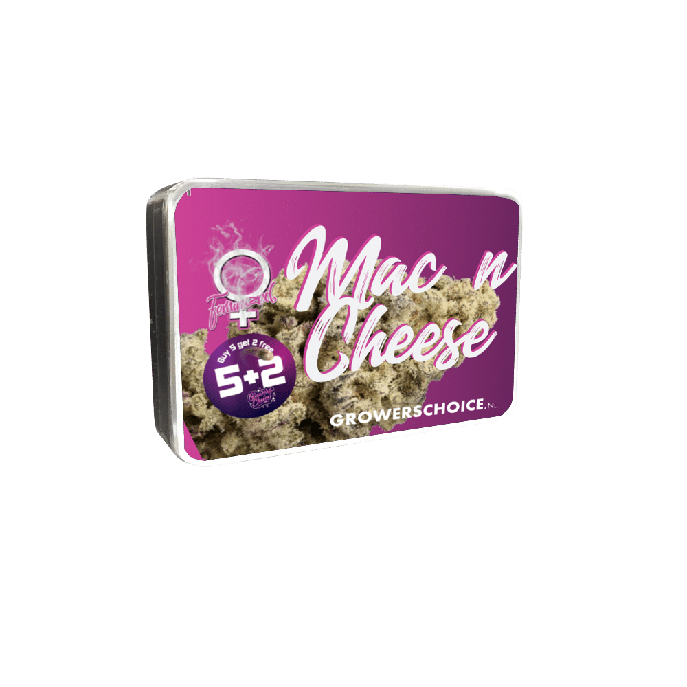LIMITED EDITION Mac N Cheese Feminized by Growers Choice Seeds (3) LIMITED EDITION Mac N Cheese plant in flower