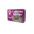 Lobster Butter bud detail