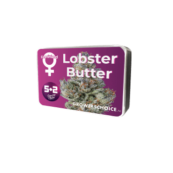 Lobster Butter bud detail