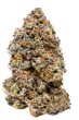 Milkshake Nerdz Feminized by Growers Choice Seeds (2)