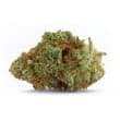 Naranja Biscotti Feminized by Growers Choice Seeds