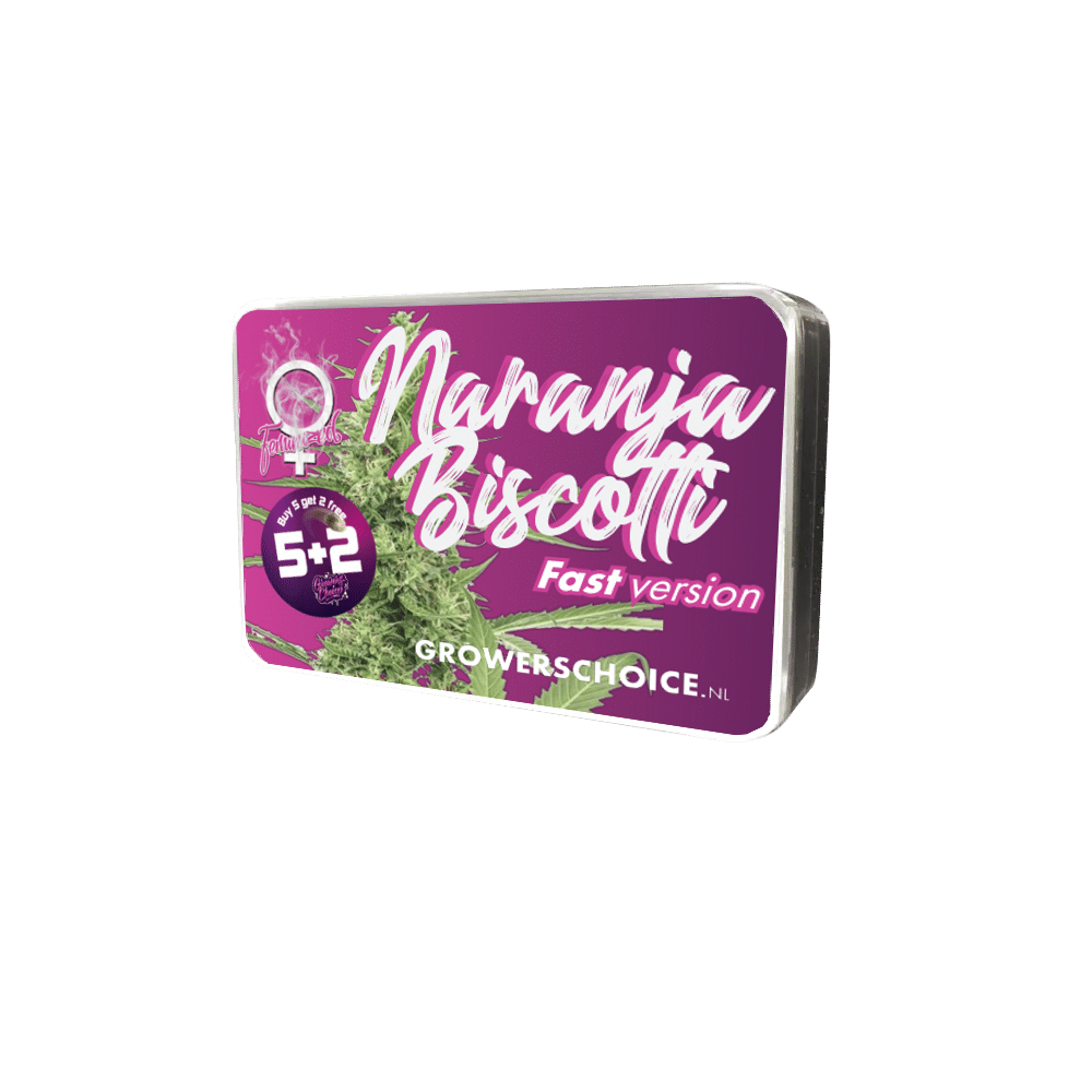 Naranja Biscotti Feminized by Growers Choice Seeds (4) Naranja Biscotti harvest detail