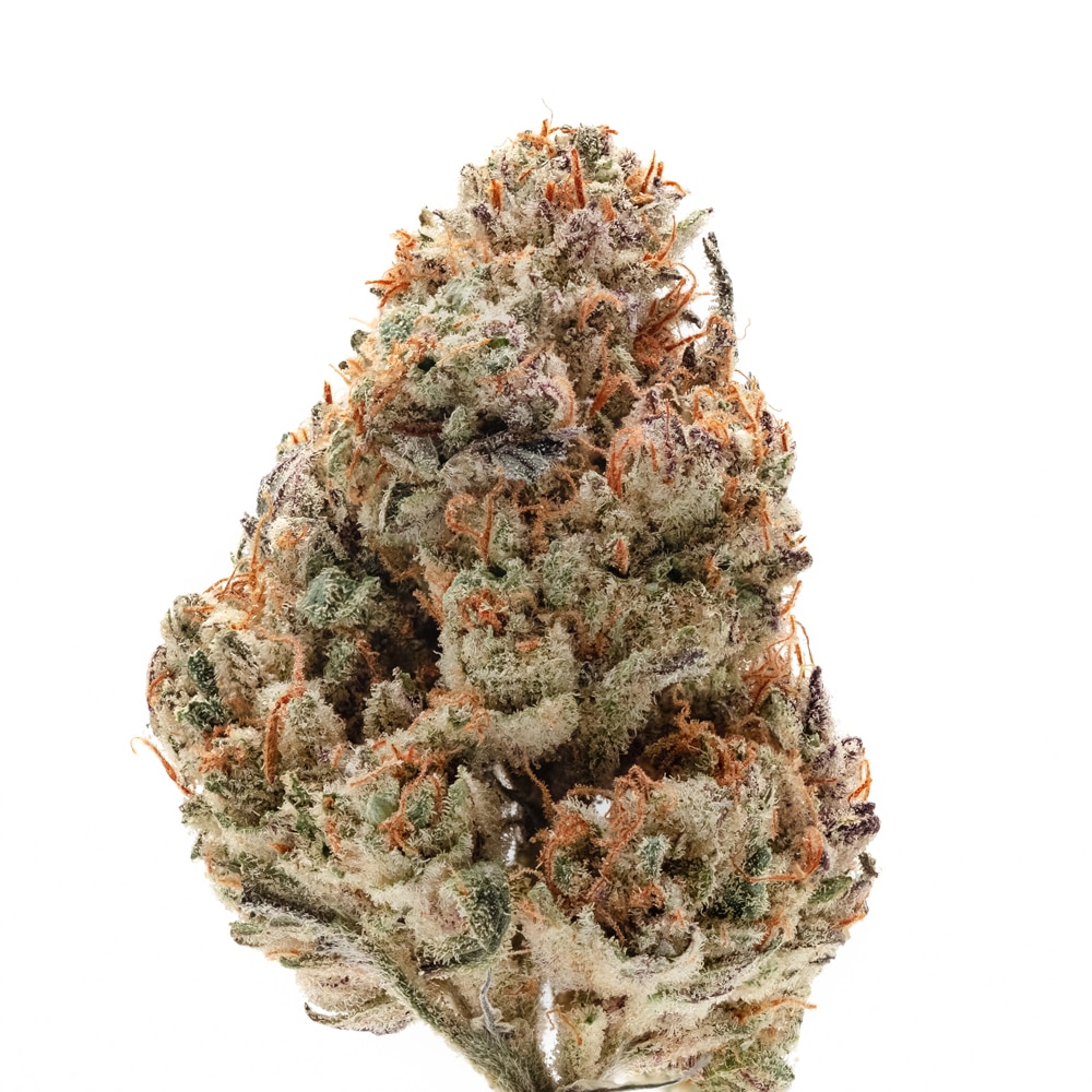 Octane Fire OG Feminized by Growers Choice Seeds (2) Octane Fire OG bud detail
