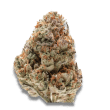 Octane Fire OG Feminized by Growers Choice Seeds