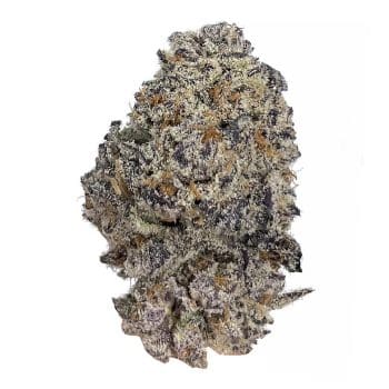 Original Oreoz bud detail