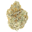 Permanent Whitemarker Auto by Growers Choice Seeds (4)