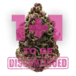 Pink Magic grow shot