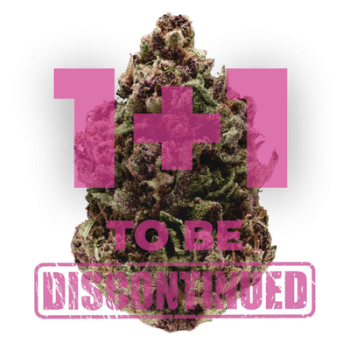 Pink Magic grow shot