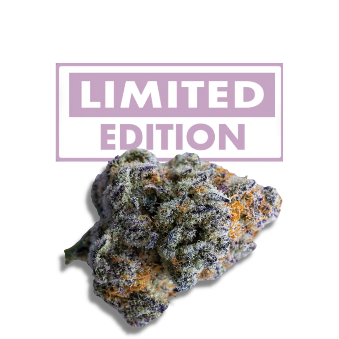 Platinum Mimosa Cookies Double XL Auto by Growers Choice Seeds (2) Platinum Mimosa Cookies Double XL bud detail